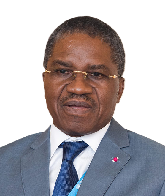 Portrait officiel d’André Mama Fouda